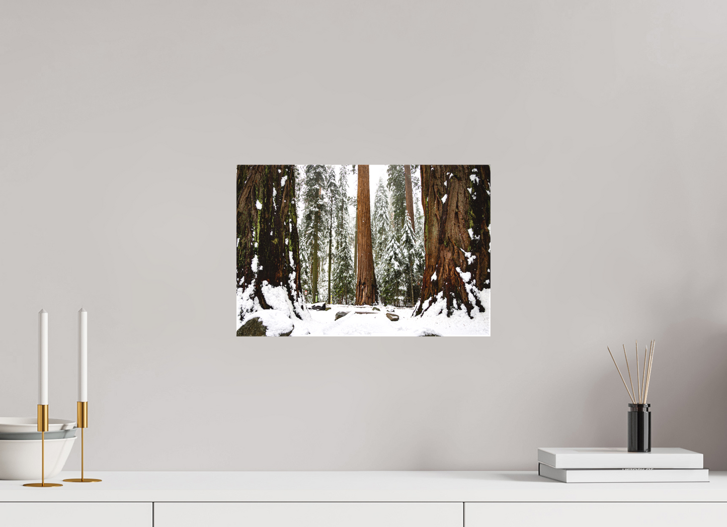 15 x 10″, Matte Canvas on Stretcher Frame Sequoia Trees at Big Trees Trail