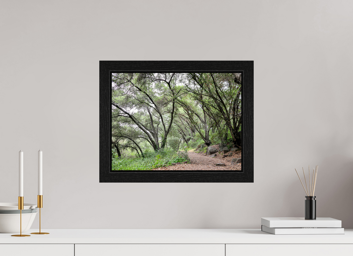 16 x 12″, Black Oak Wooden Flame under Acrylic Glass Beautiful Forest at San Margarita River Trailhead