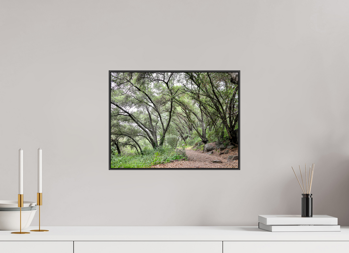 16 x 12″, Aluminium Flame under Acrylic Glass Beautiful Forest at San Margarita River Trailhead