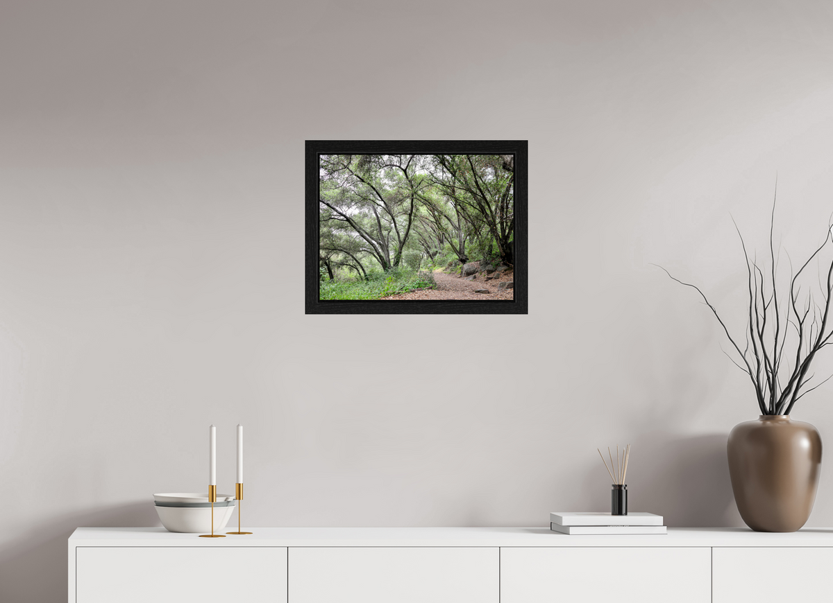 20 x 15″, Black Oak Wooden Flame under Acrylic Glass Beautiful Forest at San Margarita River Trailhead