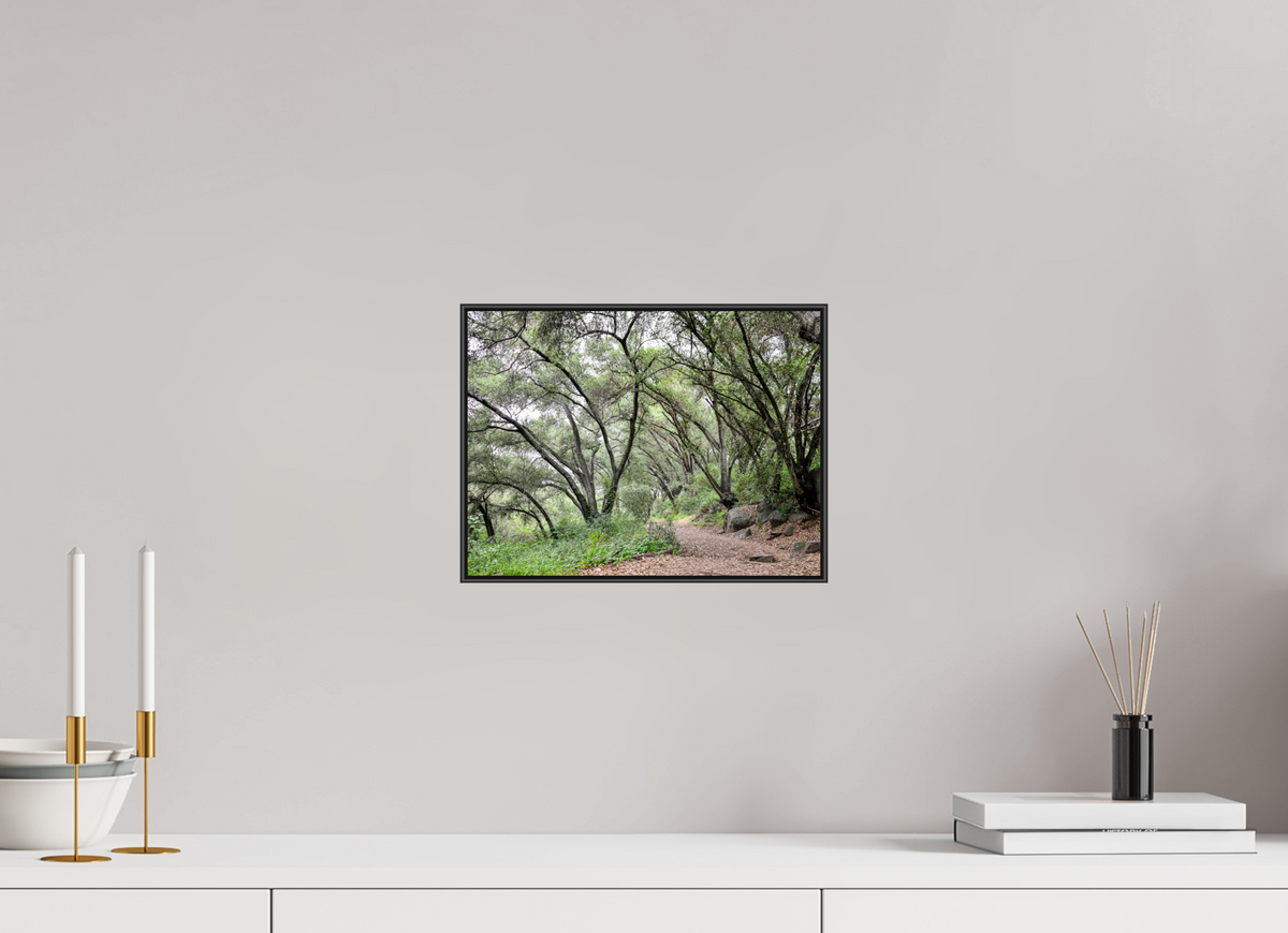 12 x 9″, Aluminium Flame under Acrylic Glass Beautiful Forest at San Margarita River Trailhead