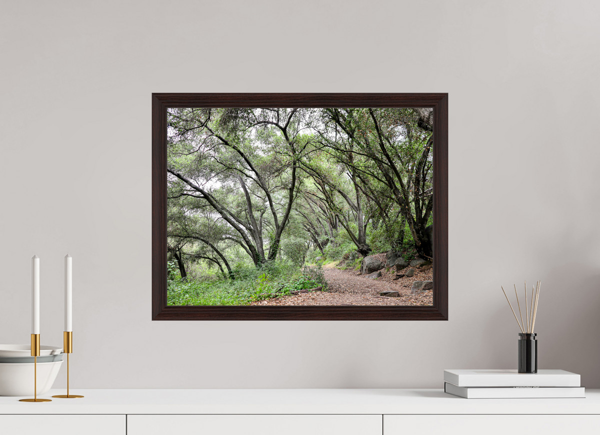 20 x 15″, Dark Brown Wooden Flame under Acrylic glass Beautiful Forest at San Margarita River Trailhead