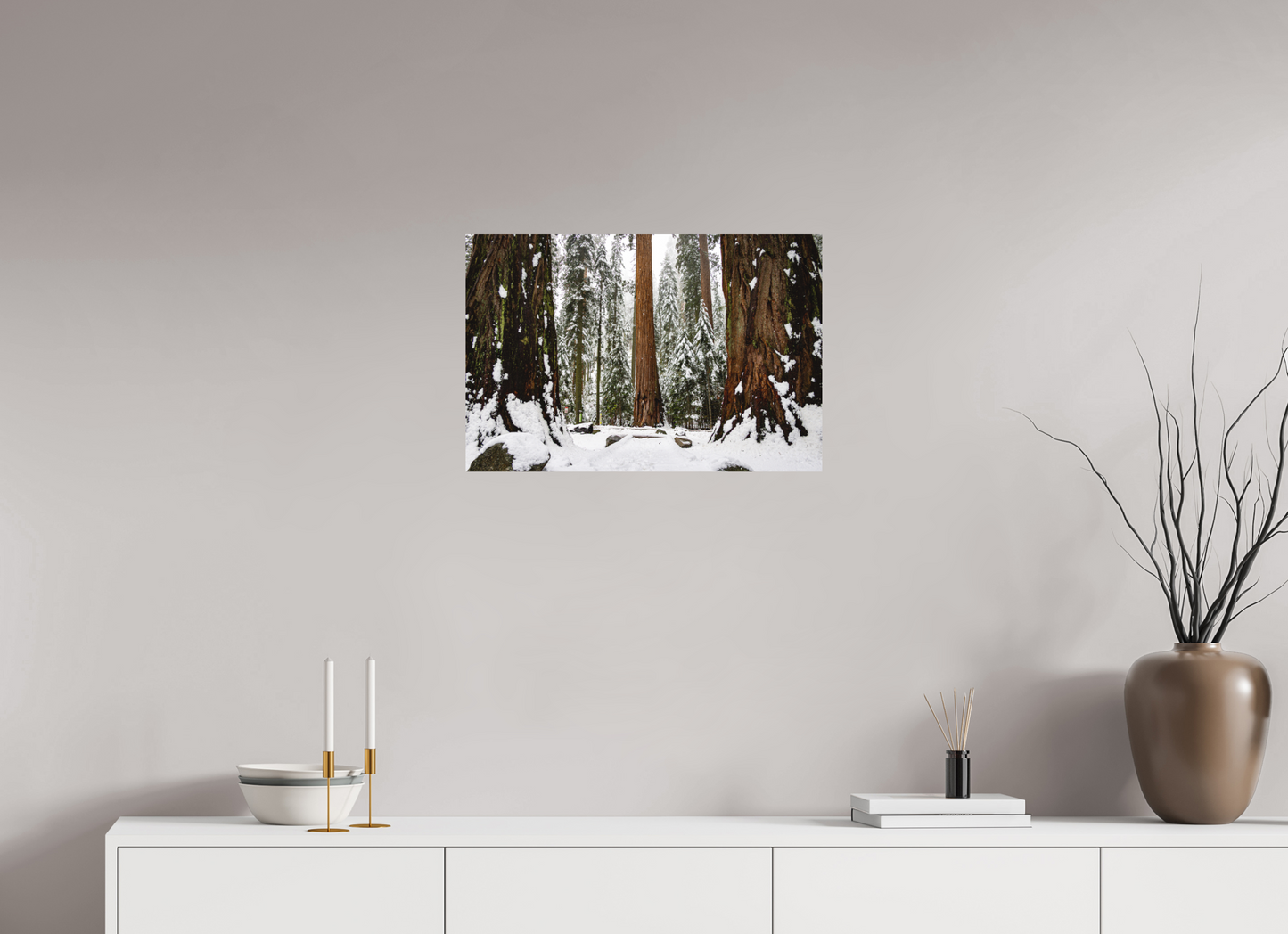 24 x 16″, Direct Print on Aluminum Dibond Sequoia Trees at Big Trees Trail