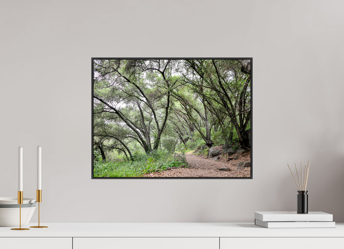 20 x 15″, Aluminium Flame under Acrylic Glass Beautiful Forest at San Margarita River Trailhead