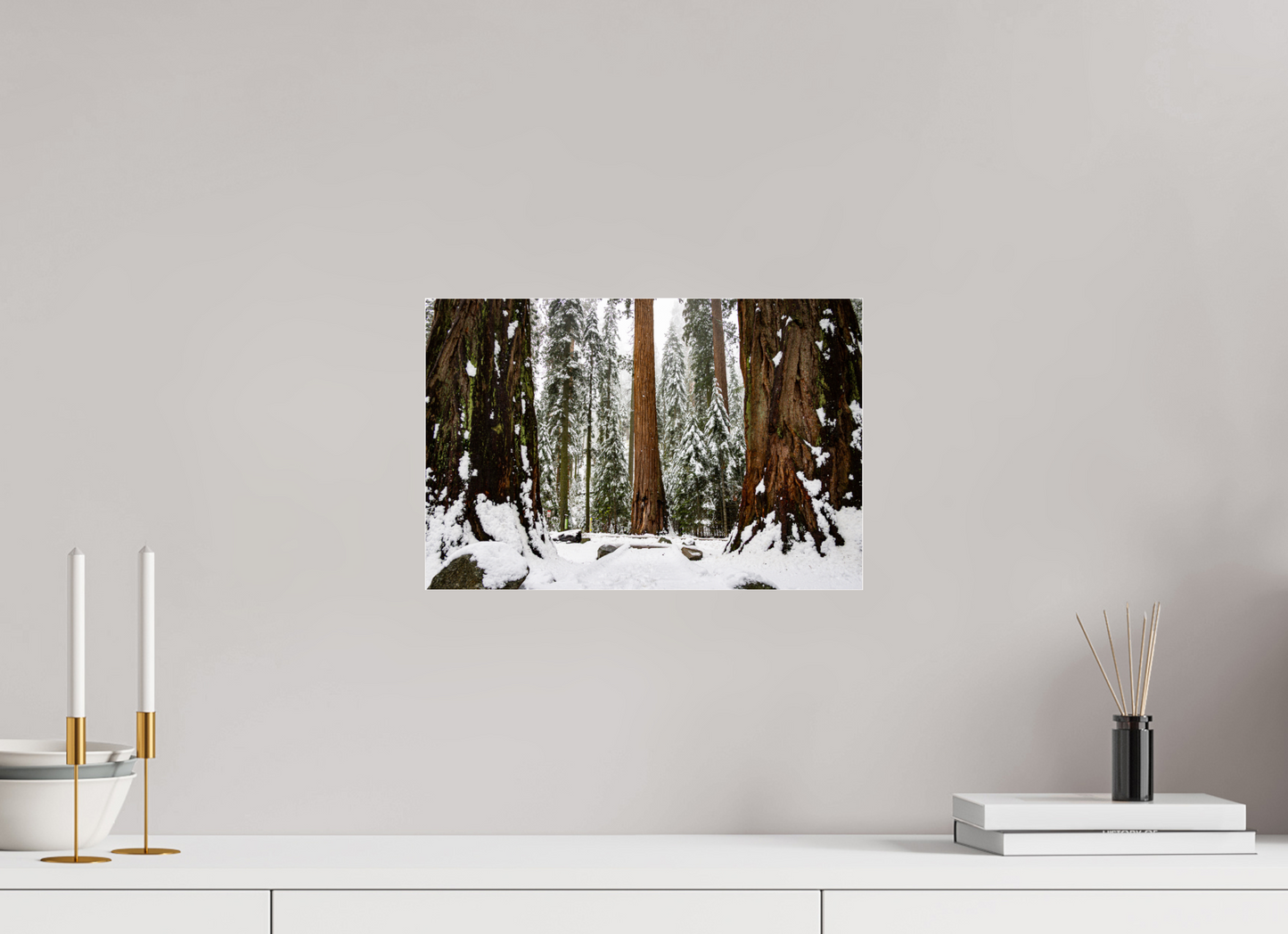 15 x 10″, Metallic Photo Print under Acrylic Glass Sequoia Trees at Big Trees Trail