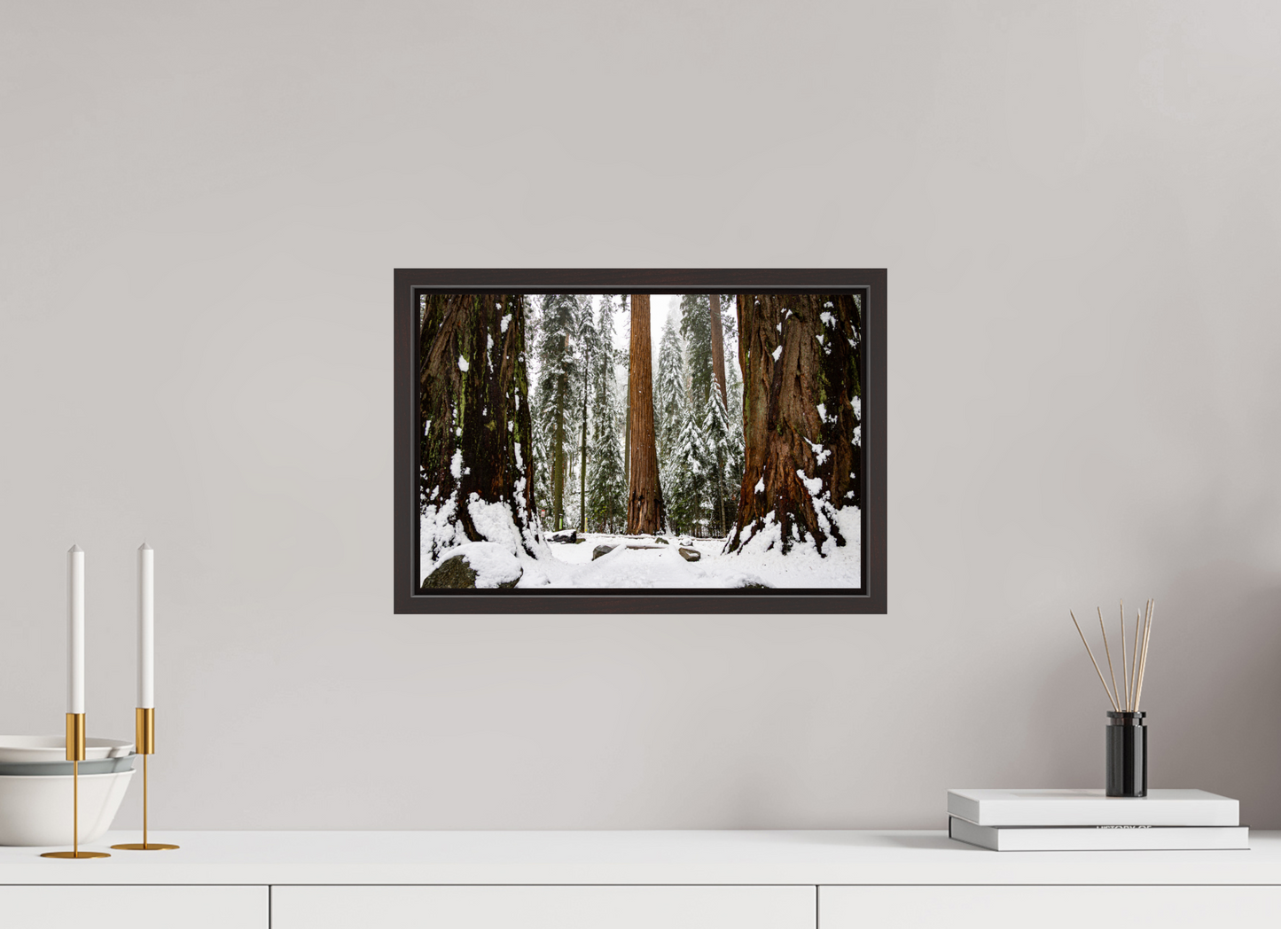 15 x 10″, Alder Brown Wooden Floater Frame Sequoia Trees at Big Trees Trail