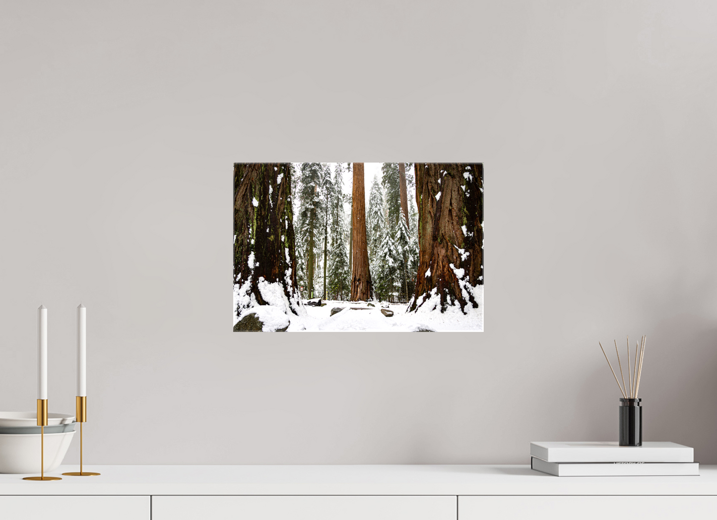 15 x 10″, Glossy Canvas on Stretcher Frame Sequoia Trees at Big Trees Trail