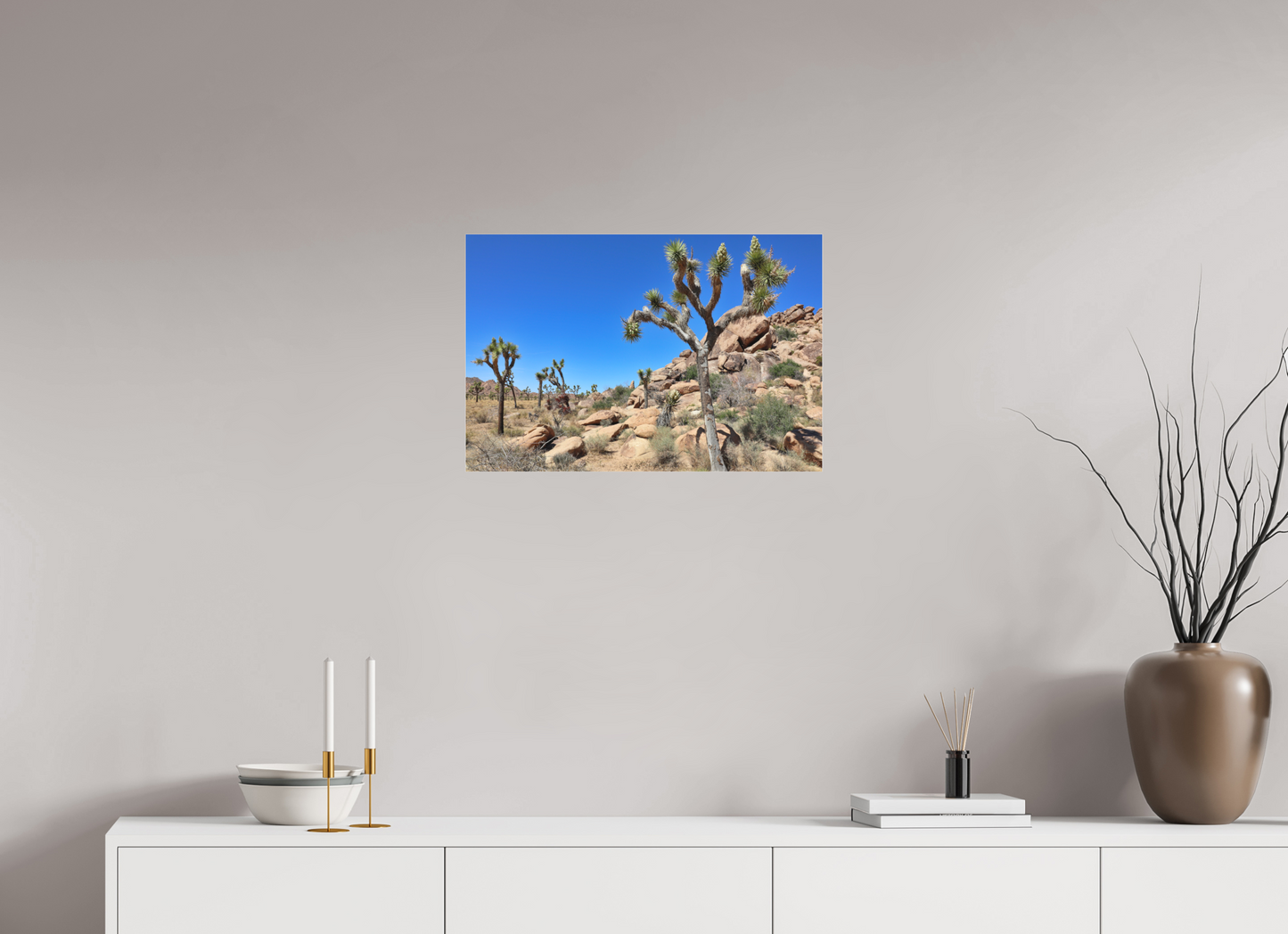 24 x 16″, Photo Print Under Matte Acrylic Glass Joshua Trees