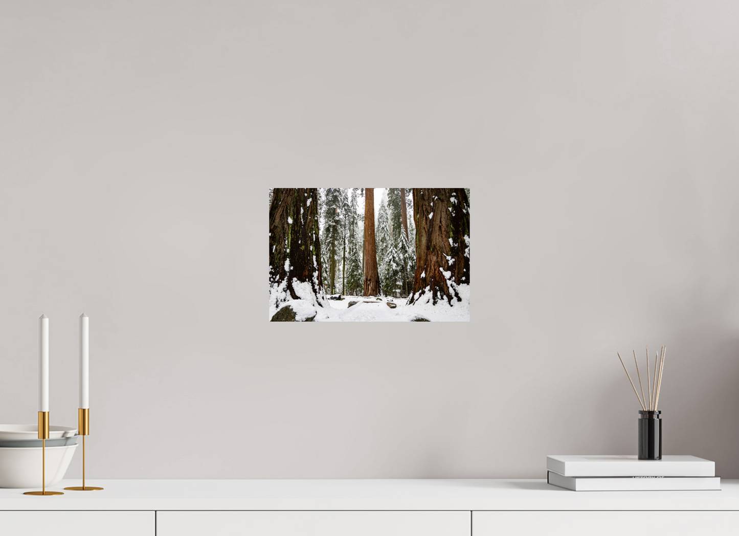 12 x 8″, Fine Art Print on Aluminum Dibond Sequoia Trees at Big Trees Trail