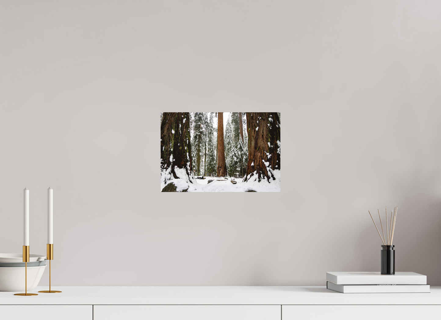 12 x 8″, Direct Print on Aluminum Dibond Sequoia Trees at Big Trees Trail