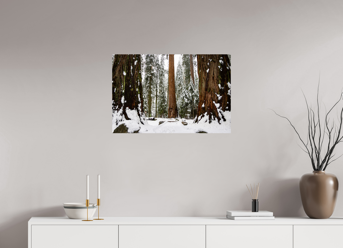 30 x 20″, Metal on Aluminum Backing Sequoia Trees at Big Trees Trail