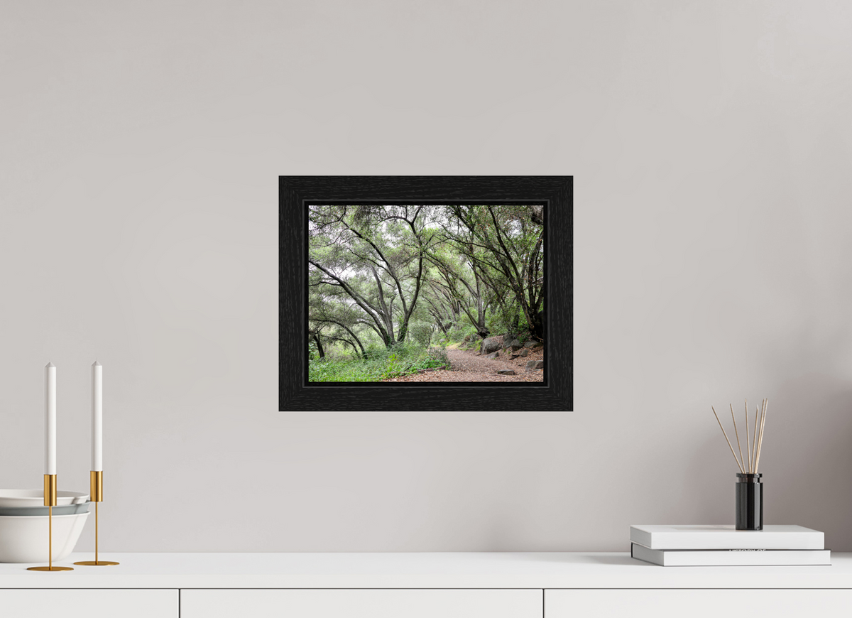 12 x 9″, Black Oak Wooden Flame under Acrylic Glass Beautiful Forest at San Margarita River Trailhead