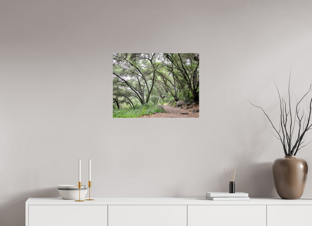 24 x 18″, Metallic Photo Print under Acrylic Glass Beautiful Forest at San Margarita River Trailhead