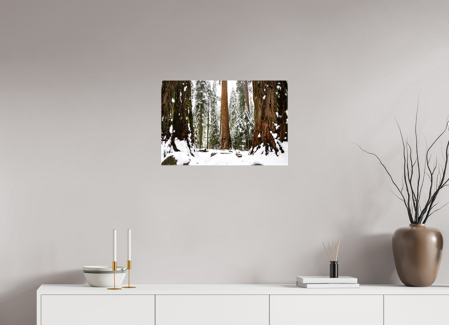 24 x 16″, Glossy Canvas on Stretcher Frame Sequoia Trees at Big Trees Trail