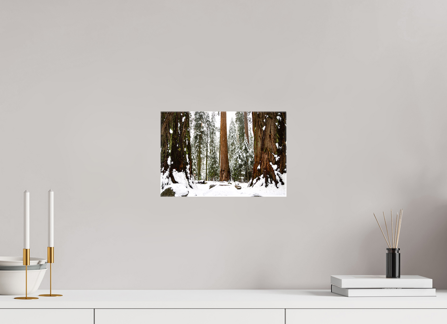12 x 8″, Glossy Canvas on Stretcher Frame Sequoia Trees at Big Trees Trail