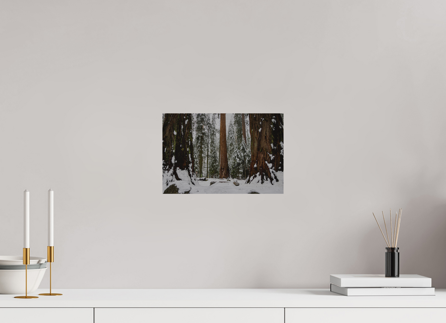 12 x 8″, Direct Print on Brushed Aluminum Sequoia Trees at Big Trees Trail
