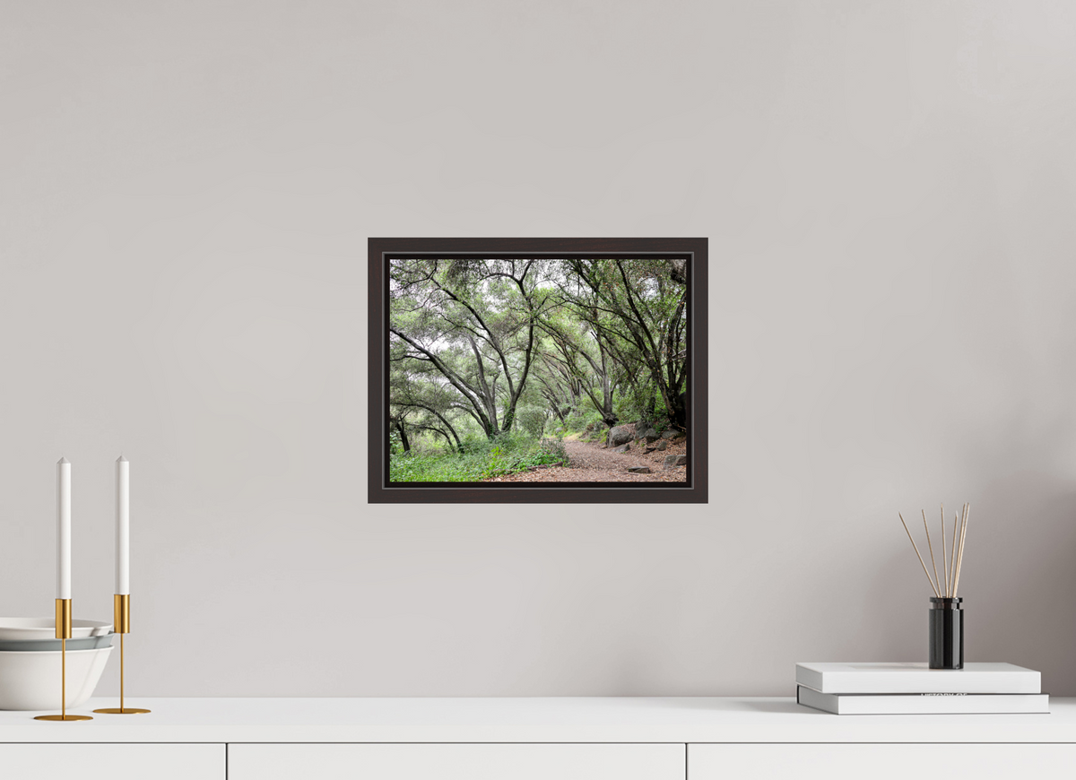 12 x 9″, Alder Brown Wooden Floater Frame Beautiful Forest at San Margarita River Trailhead