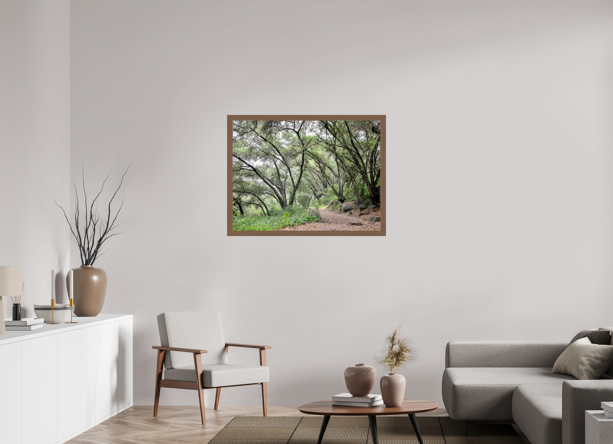 40 x 30″, Walnut Wooden Frame under Acrylic Glass Beautiful Forest at San Margarita River Trailhead