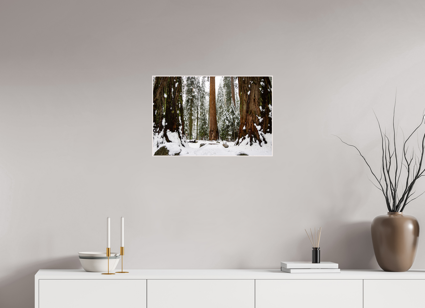24 x 16″, Solid Wood Artbox Sequoia Trees at Big Trees Trail