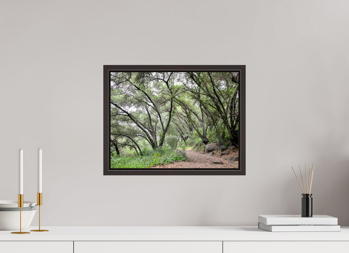 16 x 12″, Alder Brown Wooden Floater Frame Beautiful Forest at San Margarita River Trailhead
