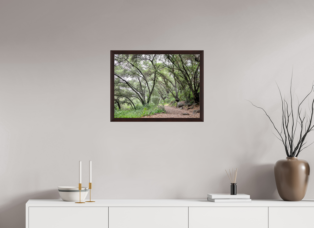 24 x 18″, Dark Brown Wooden Flame under Acrylic glass Beautiful Forest at San Margarita River Trailhead