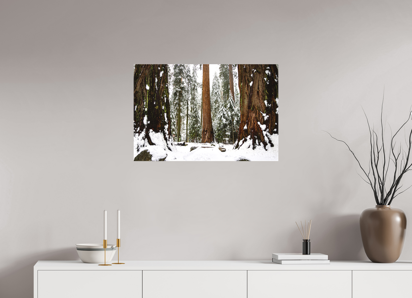 30 x 20″, Matte Canvas on Stretcher Frame Sequoia Trees at Big Trees Trail