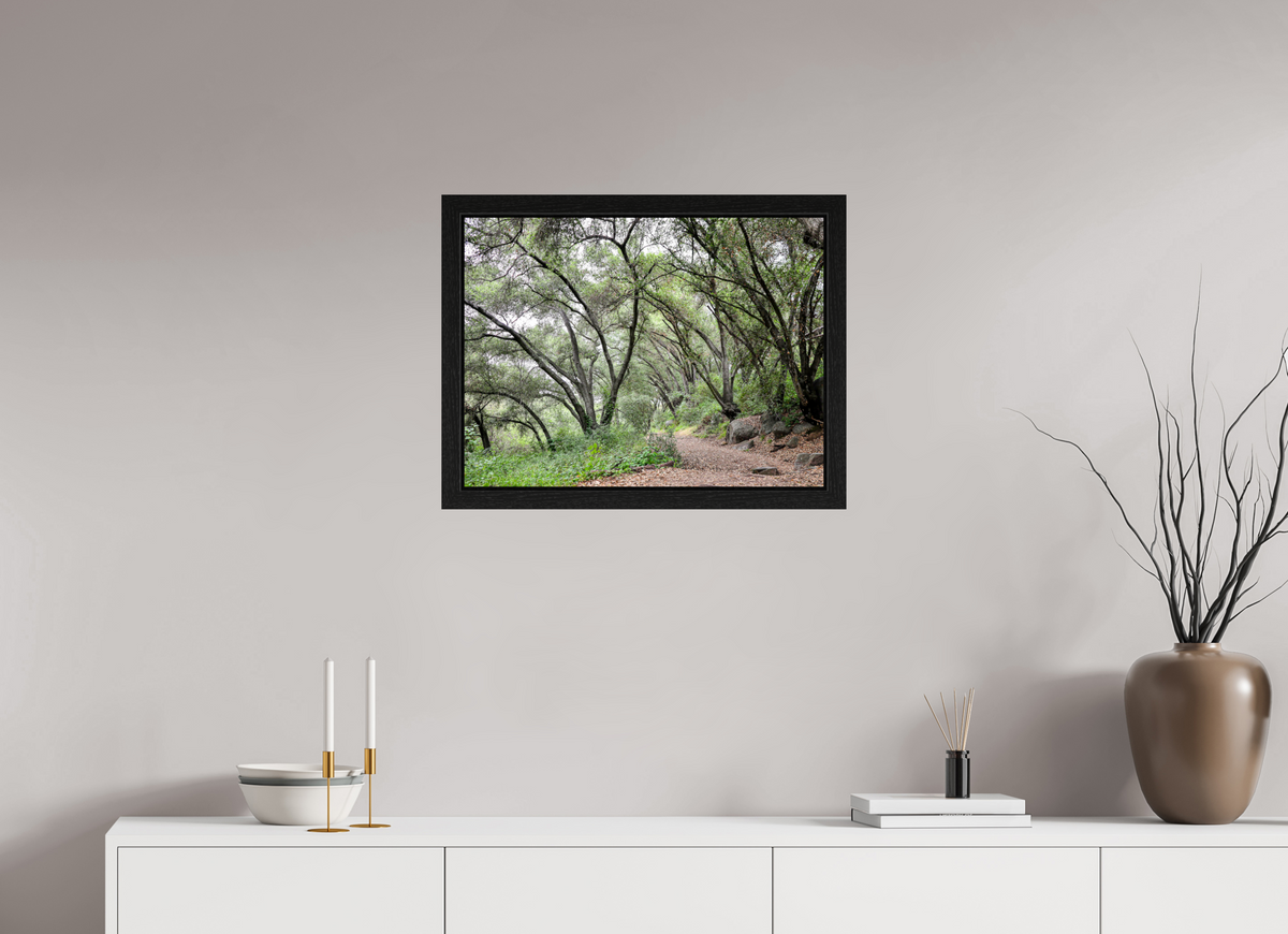 24 x 18″, Black Oak Wooden Flame under Acrylic Glass Beautiful Forest at San Margarita River Trailhead