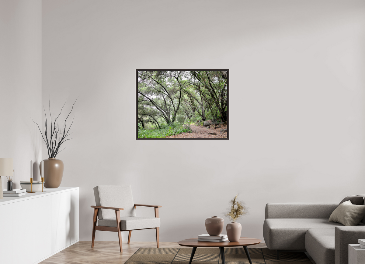 40 x 30″, Alder Brown Wooden Floater Frame Beautiful Forest at San Margarita River Trailhead