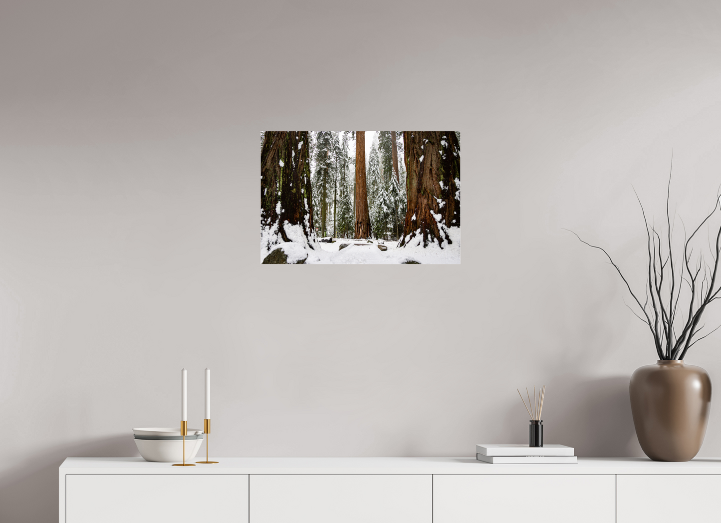 24 x 16″, Metallic Photo Print under Acrylic Glass Sequoia Trees at Big Trees Trail