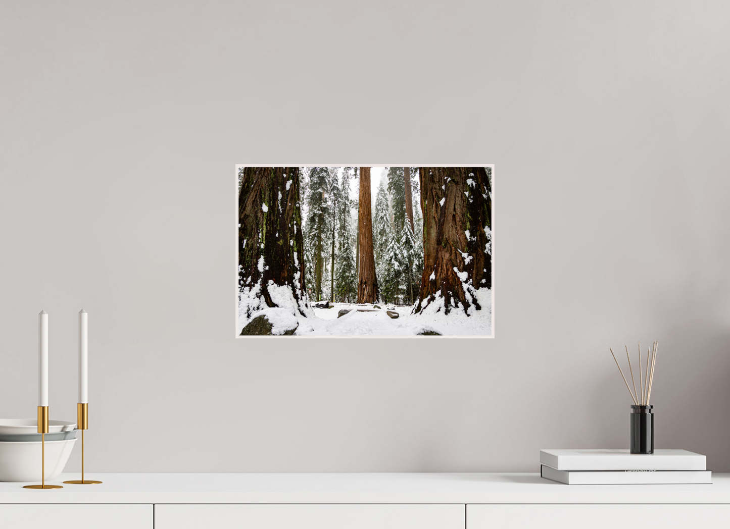 15 x 10″, Solid Wood Artbox Sequoia Trees at Big Trees Trail