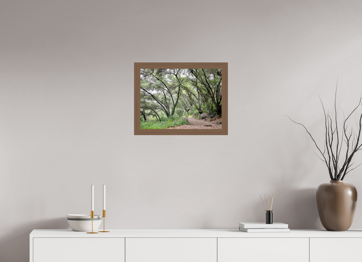 20 x 15″, Walnut Wooden Frame under Acrylic Glass Beautiful Forest at San Margarita River Trailhead