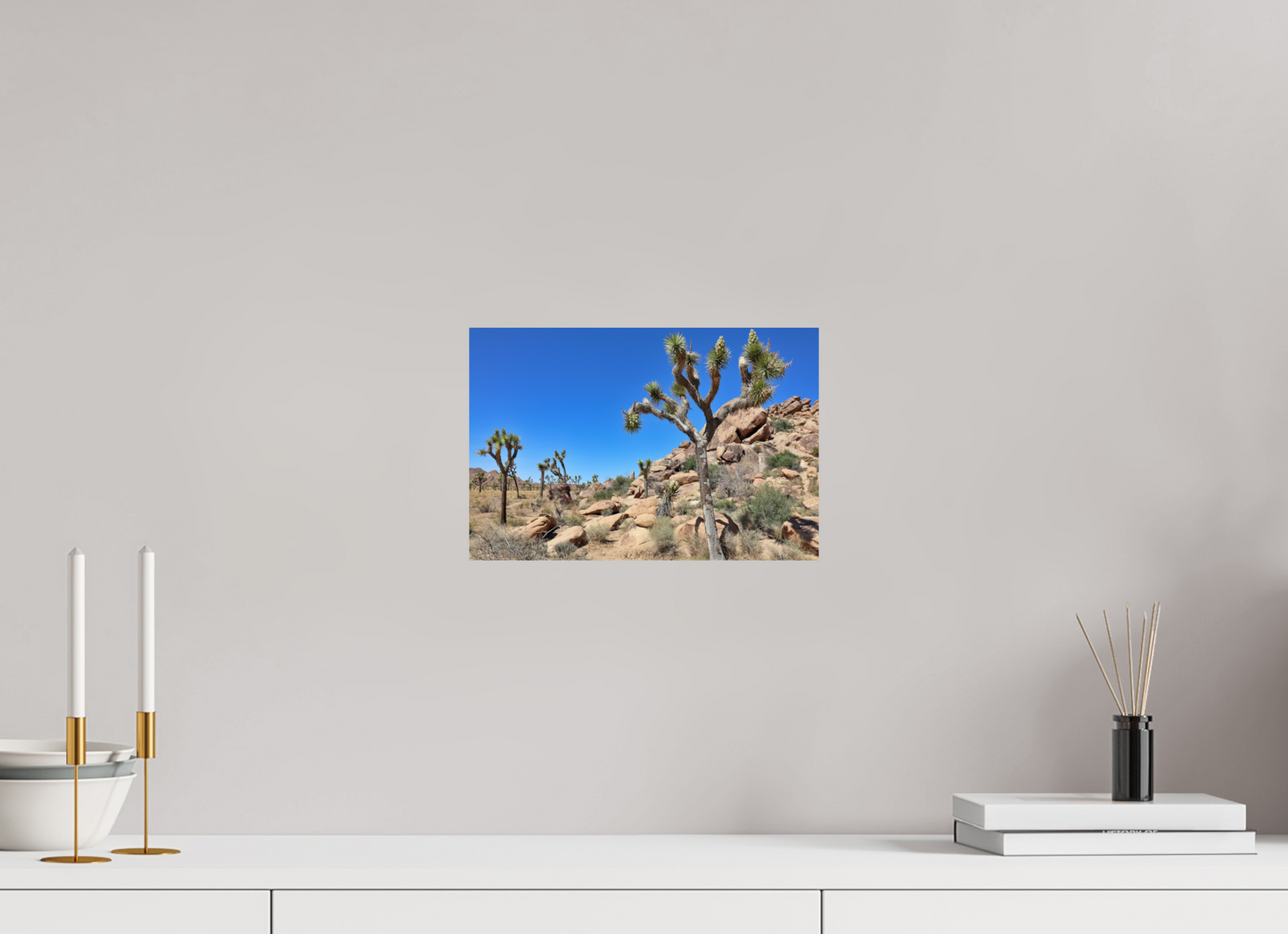 12 x 8″, Fine Art Print on Aluminum Dibond Joshua Trees