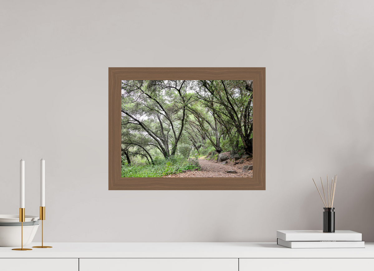 16 x 12″, Walnut Wooden Frame under Acrylic Glass Beautiful Forest at San Margarita River Trailhead