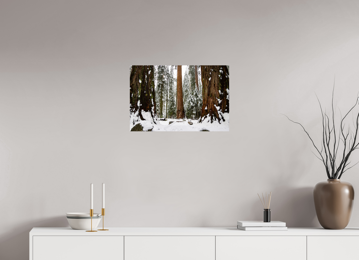 24 x 16″, ChromaLuxe HD Metal Print Sequoia Trees at Big Trees Trail