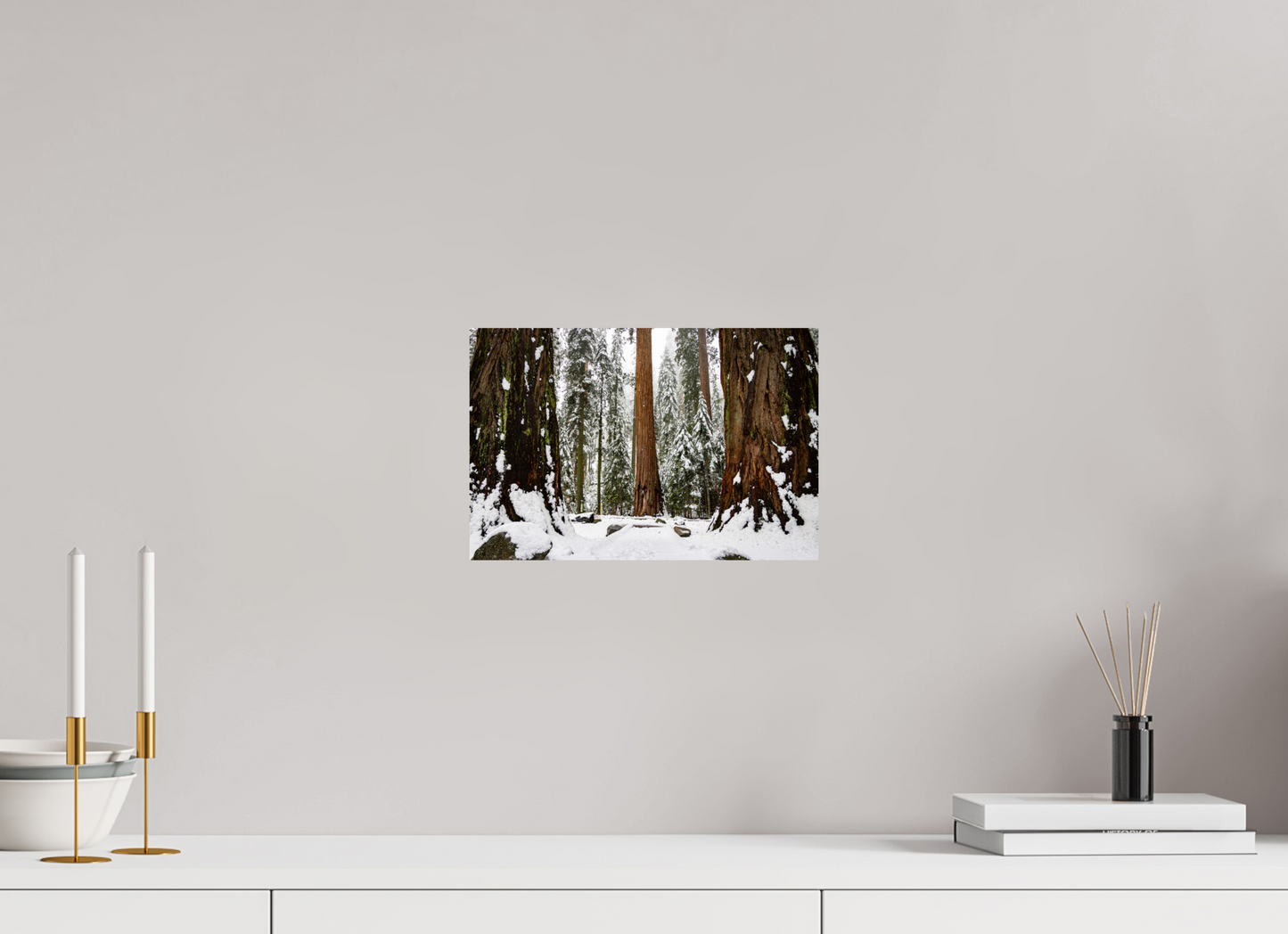 12 x 8″, ChromaLuxe HD Metal Print Sequoia Trees at Big Trees Trail