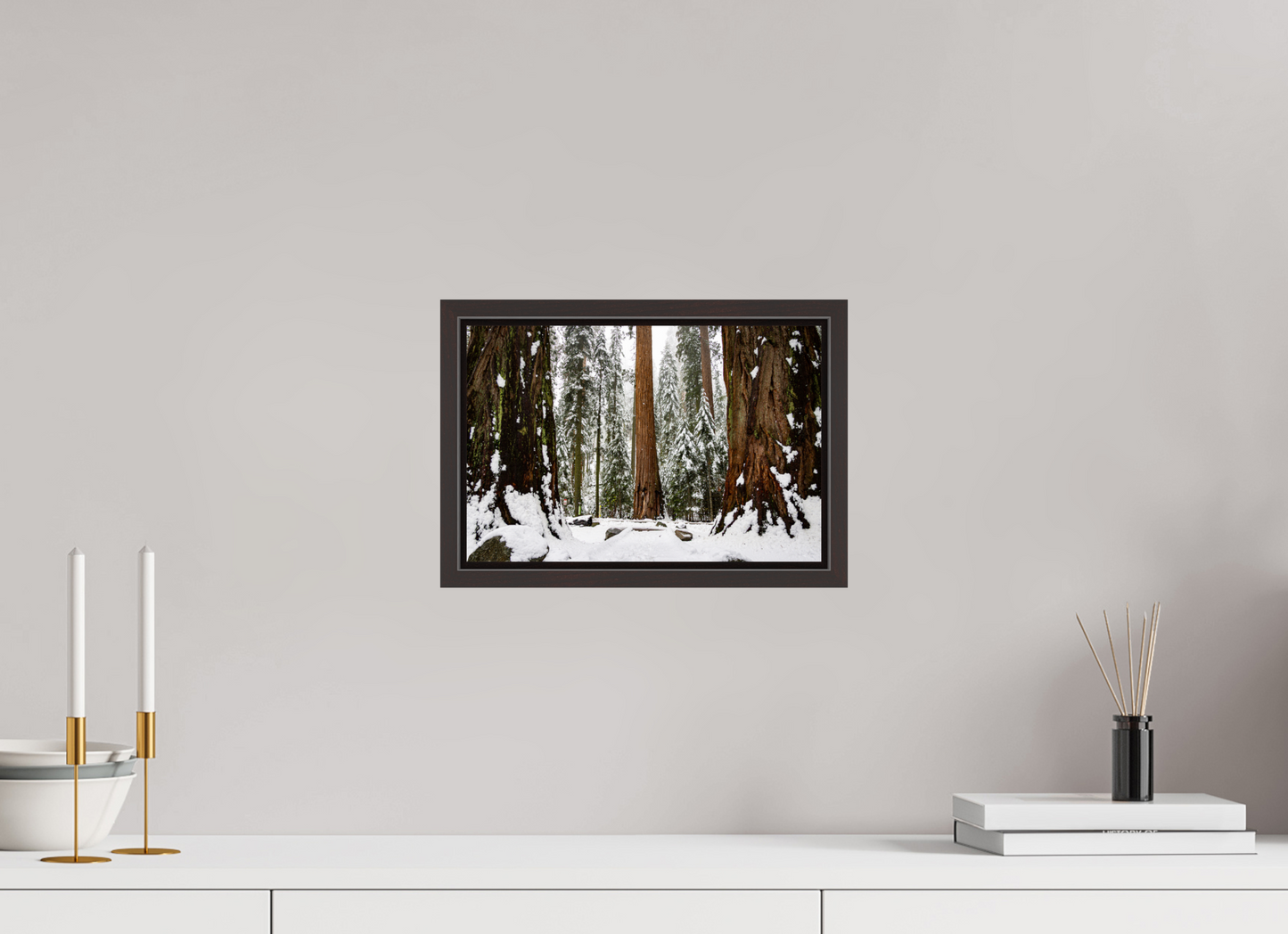 12 x 8″, Alder Brown Wooden Floater Frame Sequoia Trees at Big Trees Trail