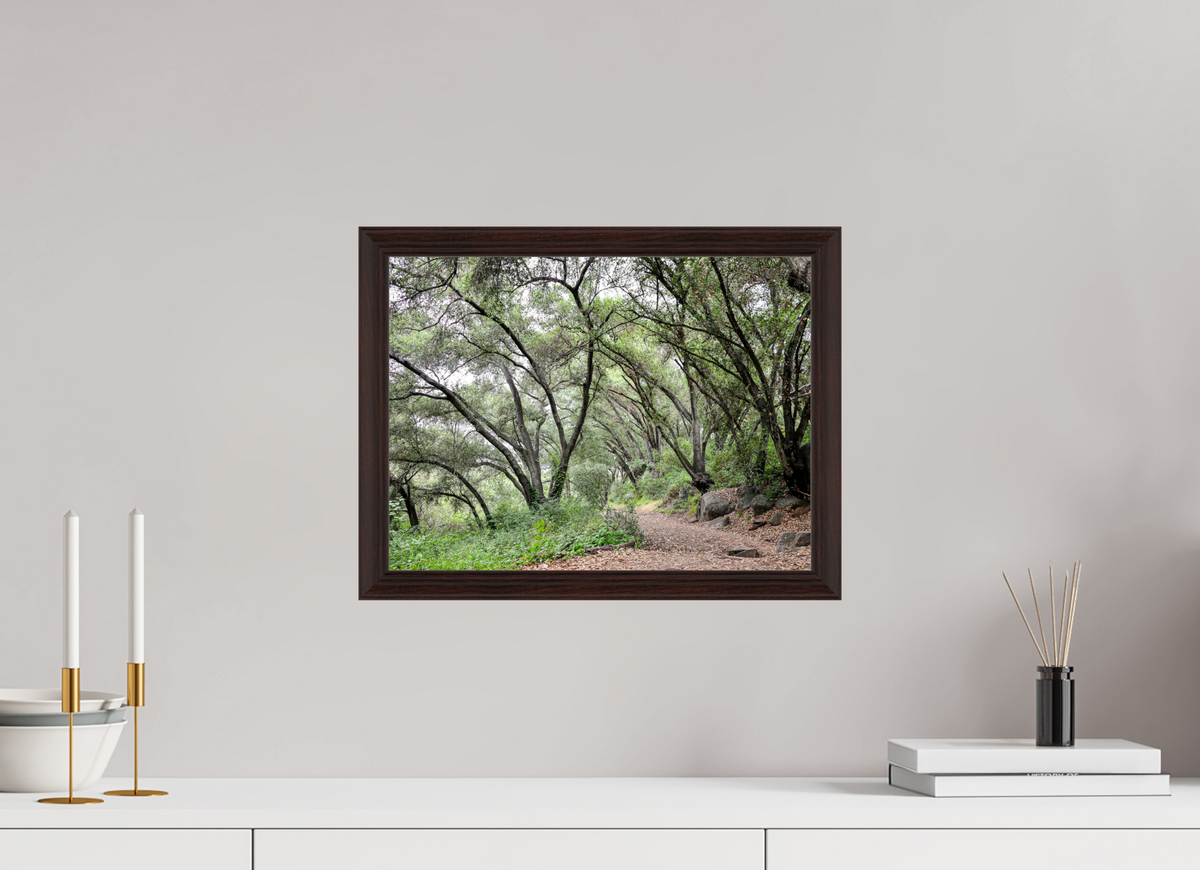 16 x 12″, Dark Brown Wooden Flame under Acrylic glass Beautiful Forest at San Margarita River Trailhead