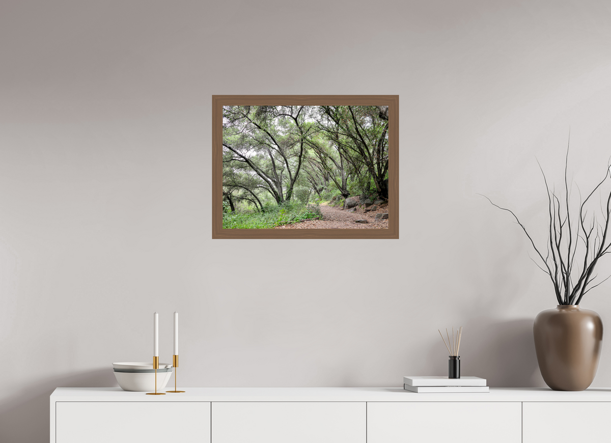 24 x 18″, Walnut Wooden Frame under Acrylic Glass Beautiful Forest at San Margarita River Trailhead