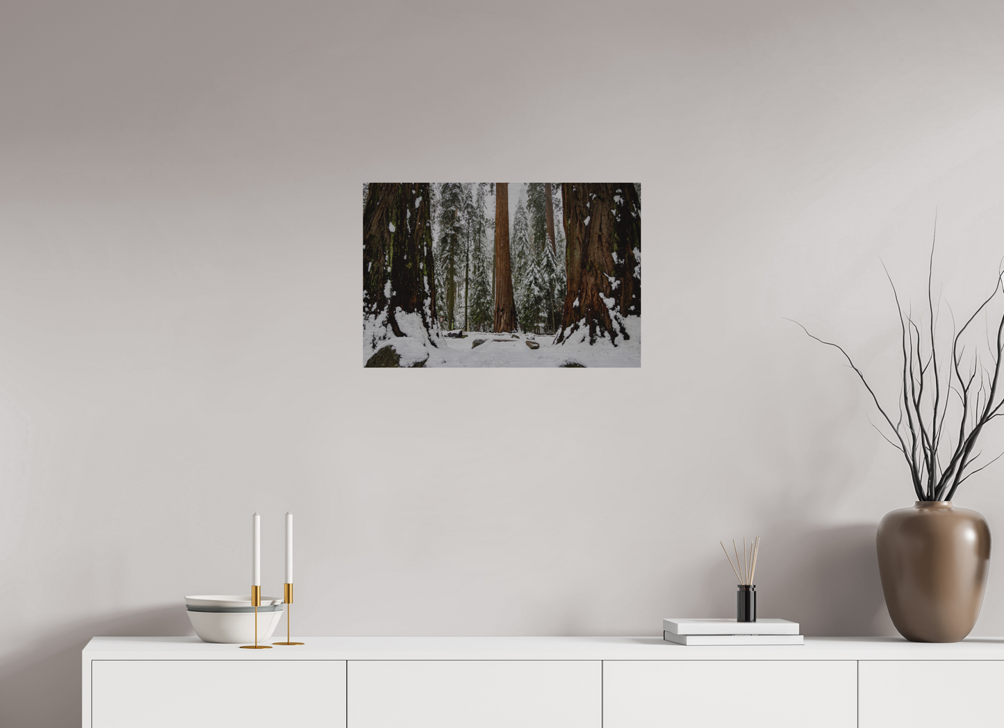24 x 16″, Direct Print on Brushed Aluminum Sequoia Trees at Big Trees Trail