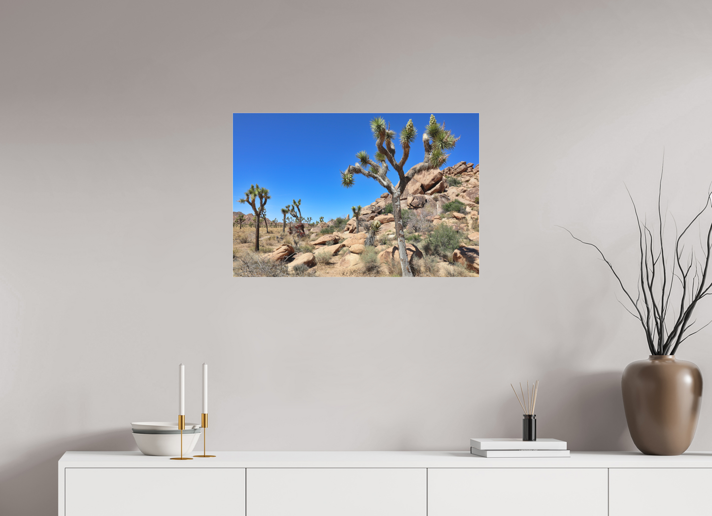 30 x 20″, Photo Print Under Matte Acrylic Glass Joshua Trees