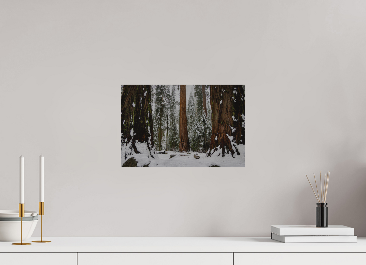 15 x 10″, Direct Print on Brushed Aluminum Sequoia Trees at Big Trees Trail