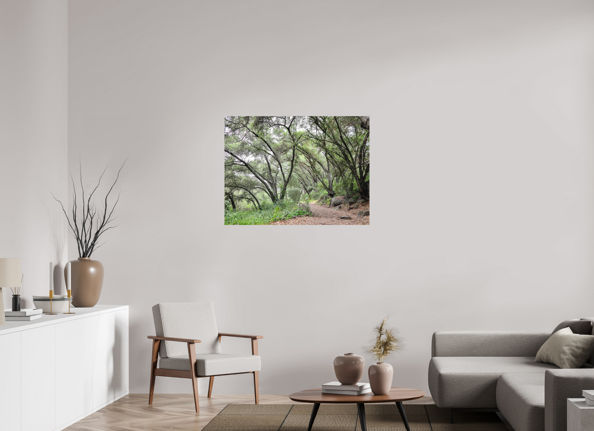 40 x 30″, Direct Print on Aluminum Dibond Beautiful Forest at San Margarita River Trailhead