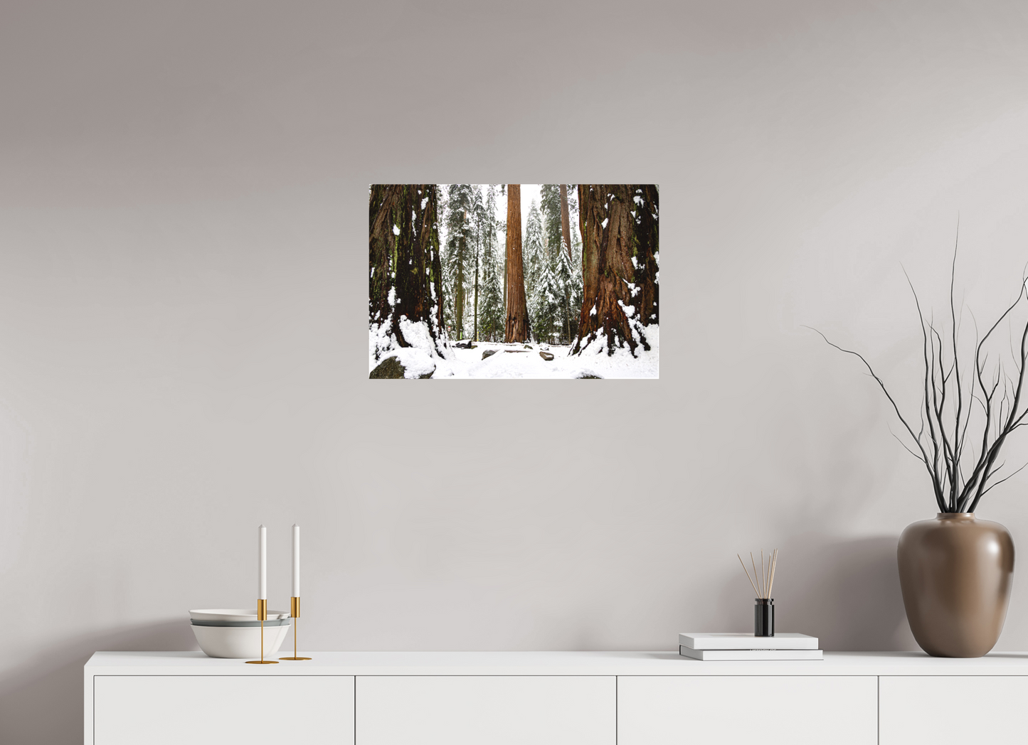 24 x 16″, Matte Canvas on Stretcher Frame Sequoia Trees at Big Trees Trail