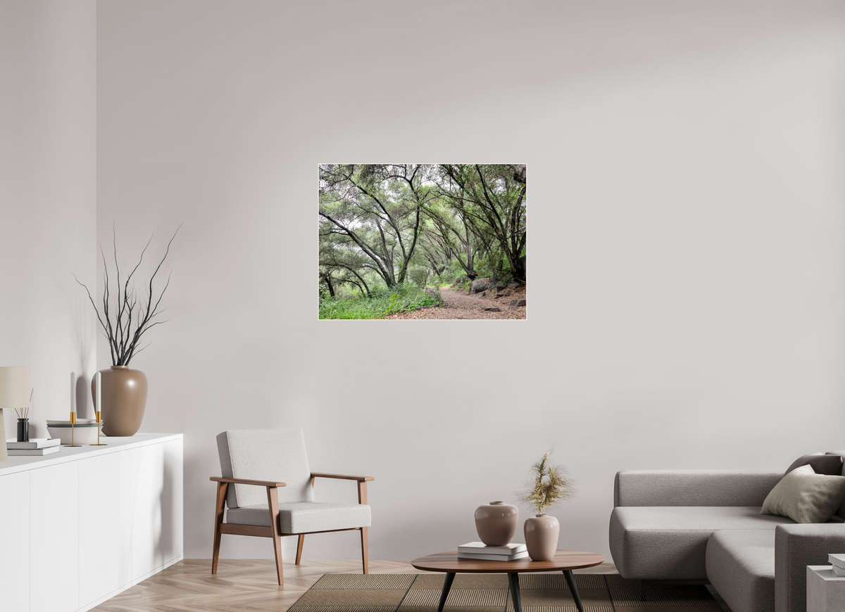 40 x 30″, Solid Wood Artbox Beautiful Forest at San Margarita River Trailhead
