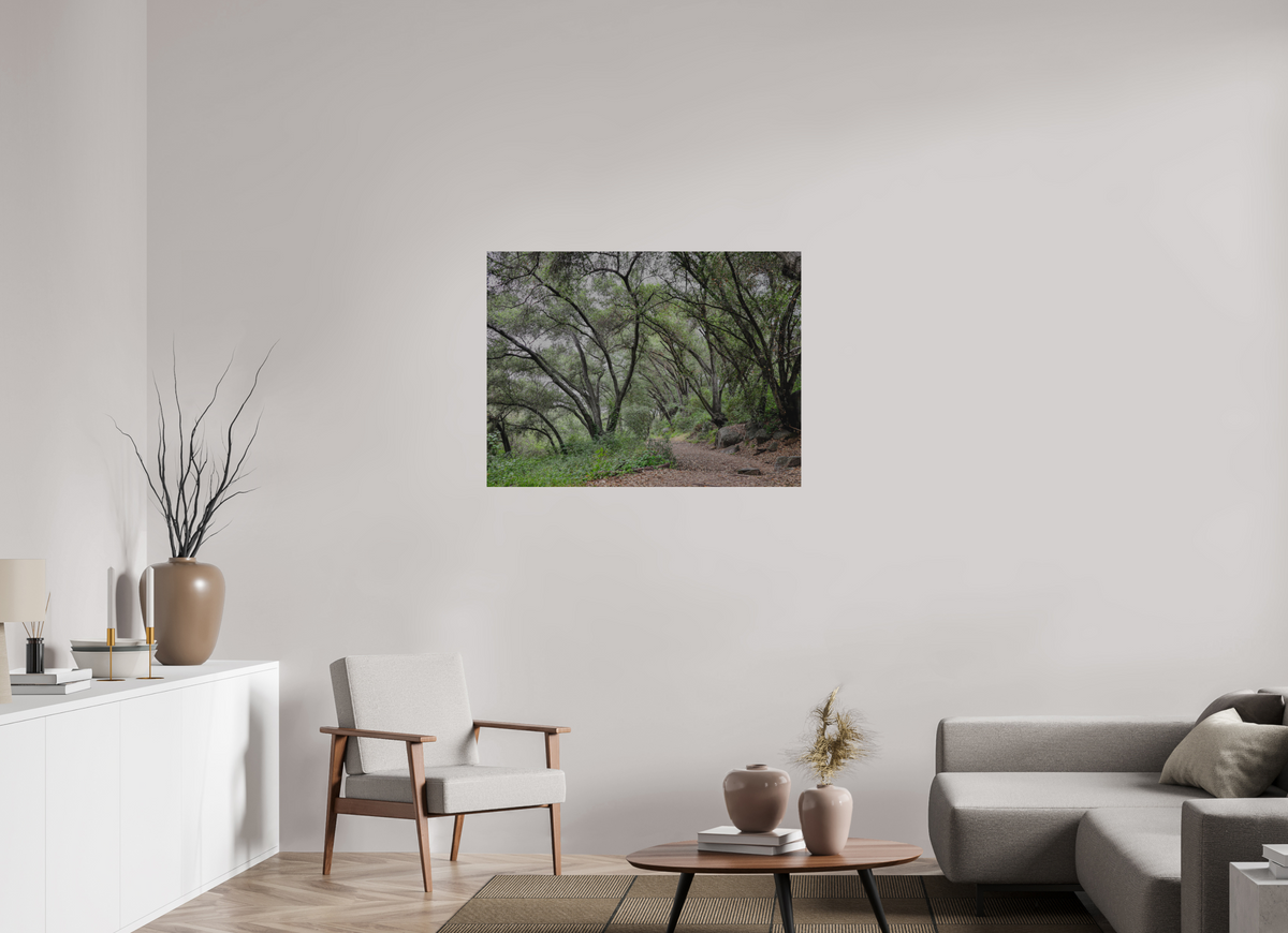 40 x 30″, Direct Print on Brushed Aluminum Beautiful Forest at San Margarita River Trailhead