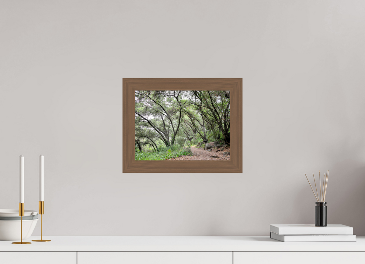 12 x 9″, Walnut Wooden Frame under Acrylic Glass Beautiful Forest at San Margarita River Trailhead