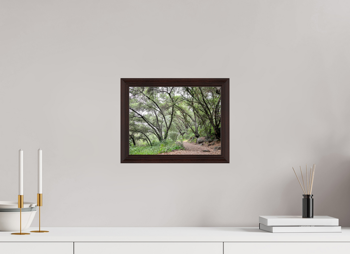 12 x 9″, Dark Brown Wooden Flame under Acrylic glass Beautiful Forest at San Margarita River Trailhead