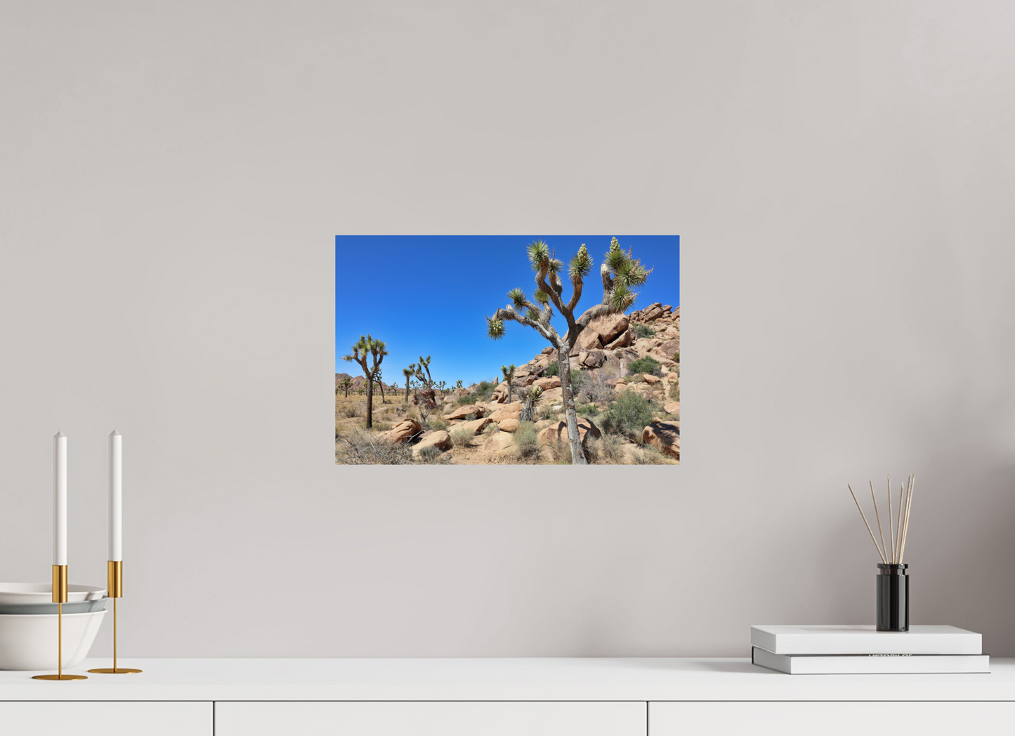 15 x 10″, Fine Art Print on Aluminum Dibond Joshua Trees