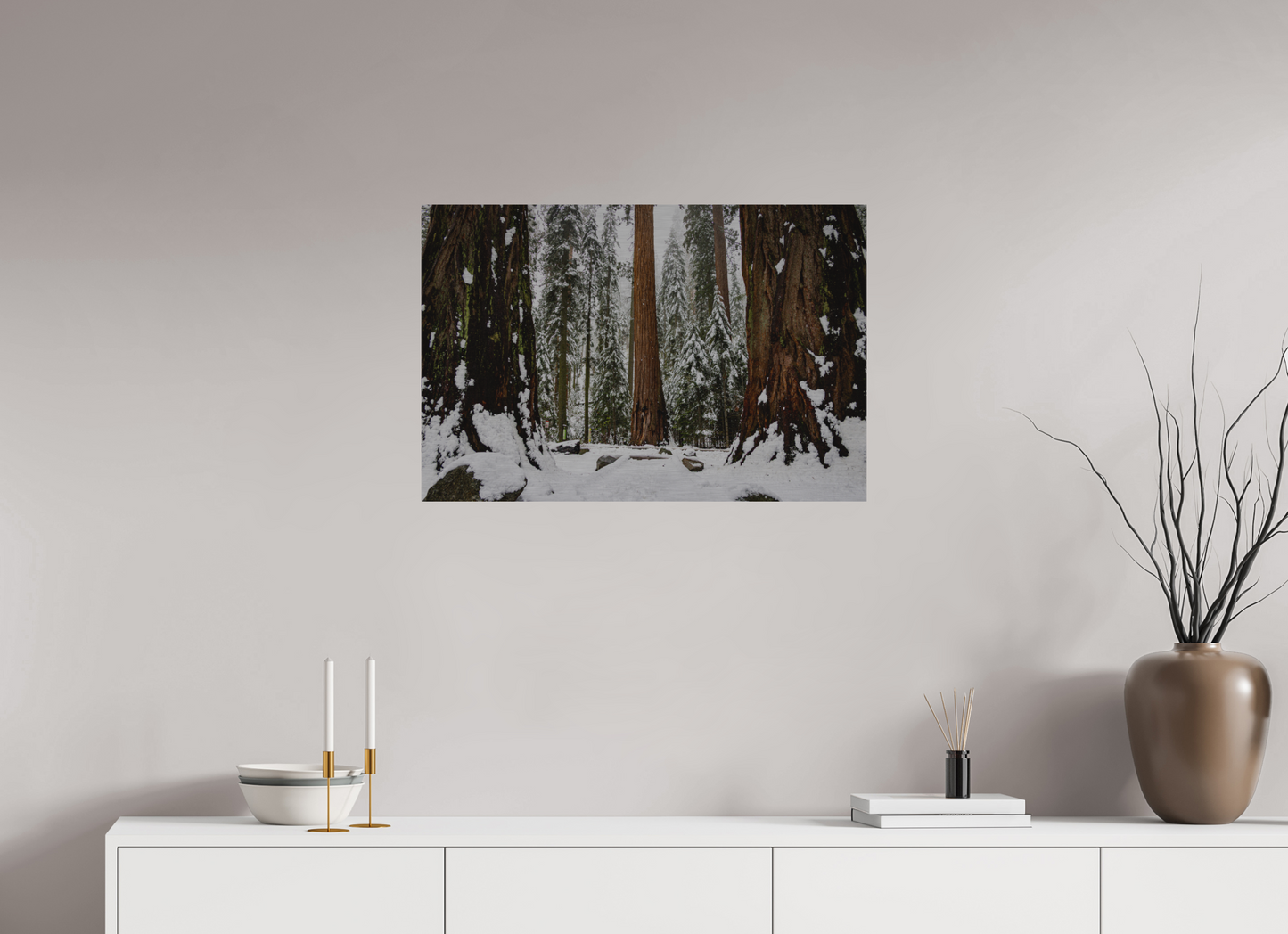30 x 20″, Direct Print on Brushed Aluminum Sequoia Trees at Big Trees Trail