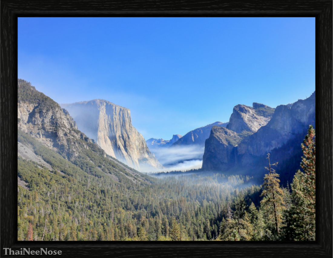 Main image Half Dome View Point in Yosemite National Park